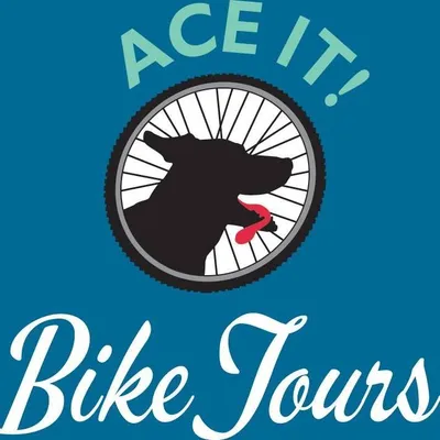 aceitbiketours.com's icon