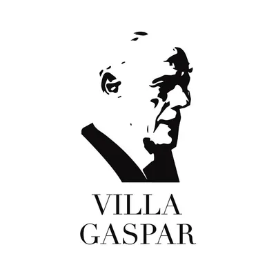 aceitevillagaspar.com's icon