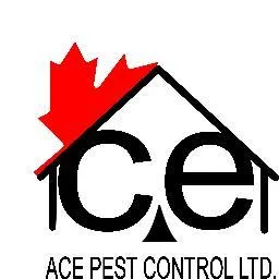 acepestcontrolltd.com's icon