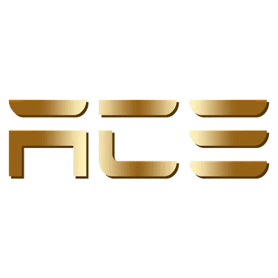 aceusallc.com's icon