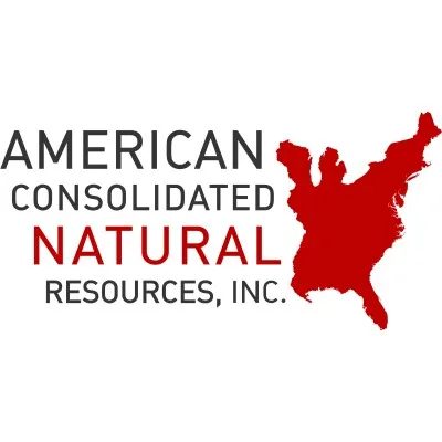 acnrinc.com's icon