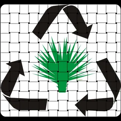 acormex.com's icon