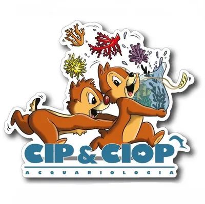 acquariologianapoli.com's icon