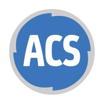 acselektronik.com's icon