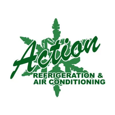 actionair.co.za's icon