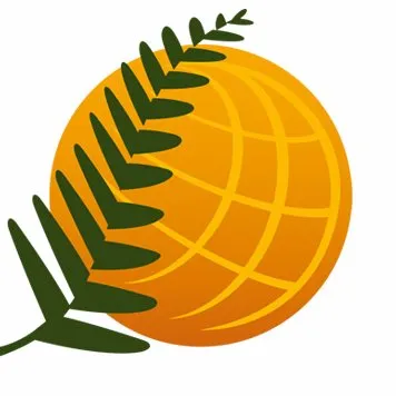 actu-environnement.com's icon
