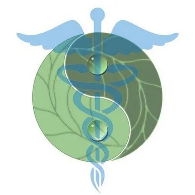 acupuncturevirginia.com's icon