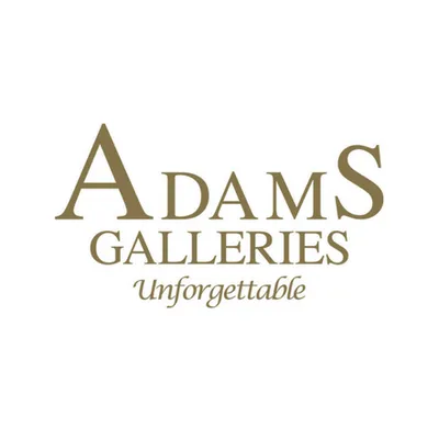 adamsgalleries.com's icon