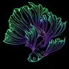adelaideaquariums.com.au's icon