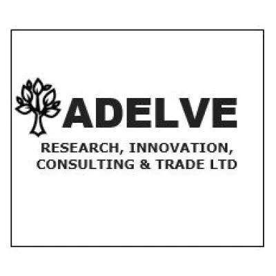 adelvecy.com's icon