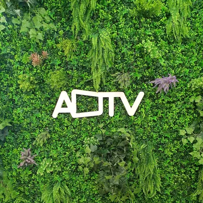 adtv.co.il's icon