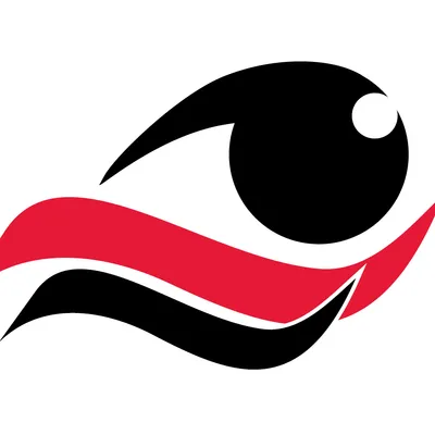 advancedeye2020.com's icon