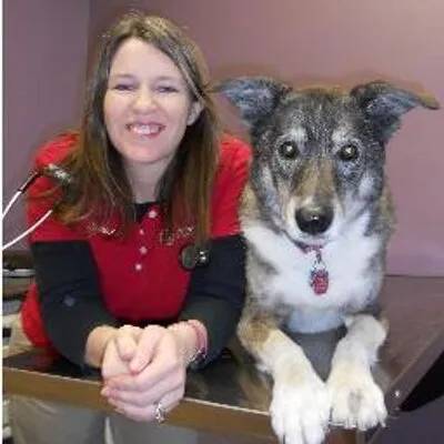 advancedpetcareclinic.com's icon