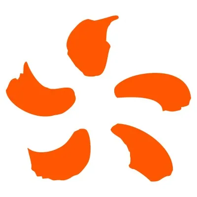 aegischp.info's icon
