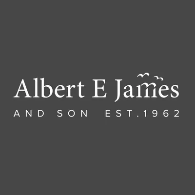 aejames.com's icon