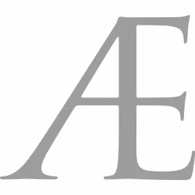 aetatis.se's icon