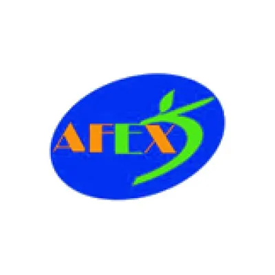 afex-peru.com's icon