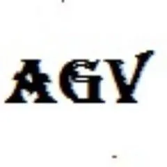 africaglobalvillage.com's icon