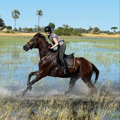 africanhorseback.com's icon