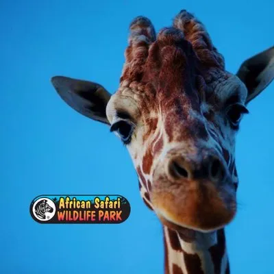 africansafariwildlifepark.com's icon