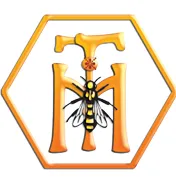 agialydia.com's icon