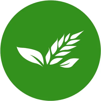 agrianalytica.com's icon
