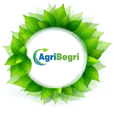 agribegri.com's icon