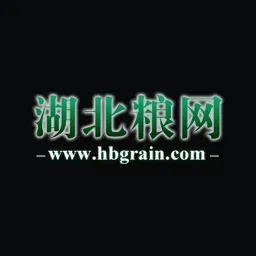 ahhangzhan.com's icon