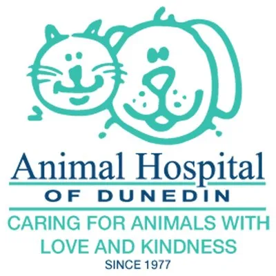 ahofd.com's icon