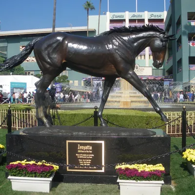 ahonoora.com's icon