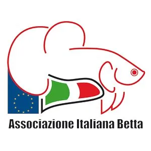 aibetta.it's icon