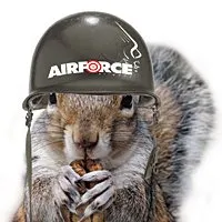 airforceairguns.com's icon