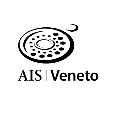 aisveneto.it's icon