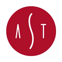 akademisacterapi.com's icon