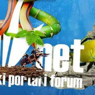 akvarij.net's icon