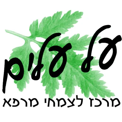 al-alim.co.il's icon
