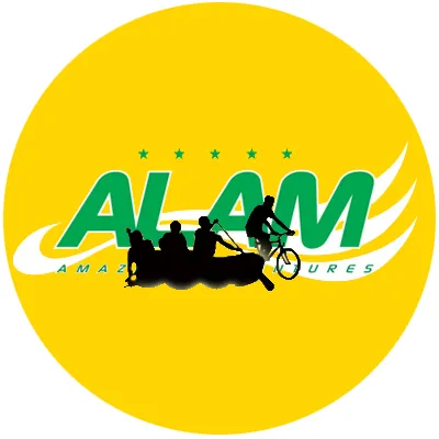 alamamazingadventures.com's icon