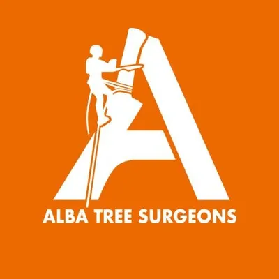 albatreesurgeons.com's icon