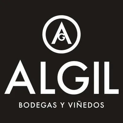 algilbodegas.com's icon
