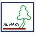 alhayaqatar.com's icon