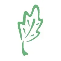 alhayatso.com's icon