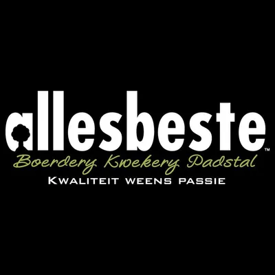allesbeste.com's icon