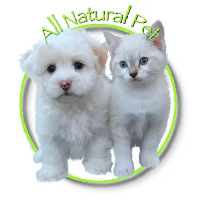 allnaturalpet.co.uk's icon