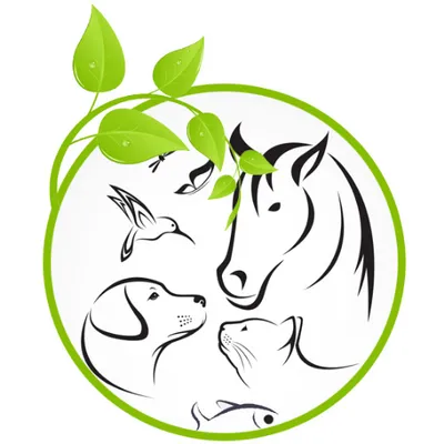 allnaturalpetcare.com's icon