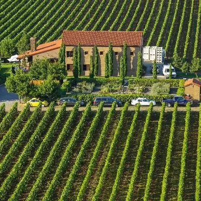allorovineyard.com's icon