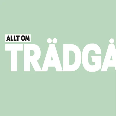 alltomtradgard.se's icon