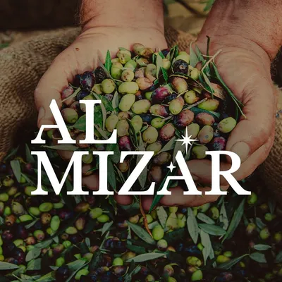 almizar.nl's icon