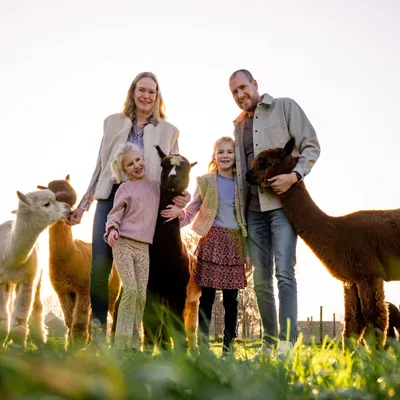 alpacavorstenbosch.nl's icon