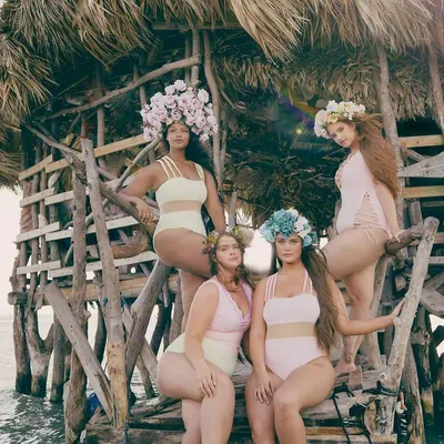 alpinebutterflyswim.com's icon