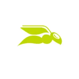 altaro.com's icon